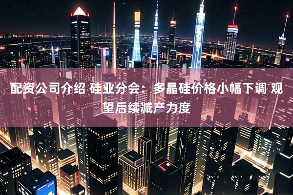 配资公司介绍 硅业分会：多晶硅价格小幅下调 观望后续减产力度