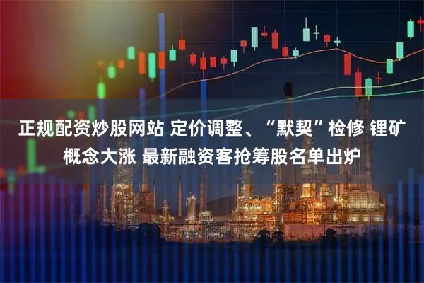 正规配资炒股网站 定价调整、“默契”检修 锂矿概念大涨 最新融资客抢筹股名单出炉